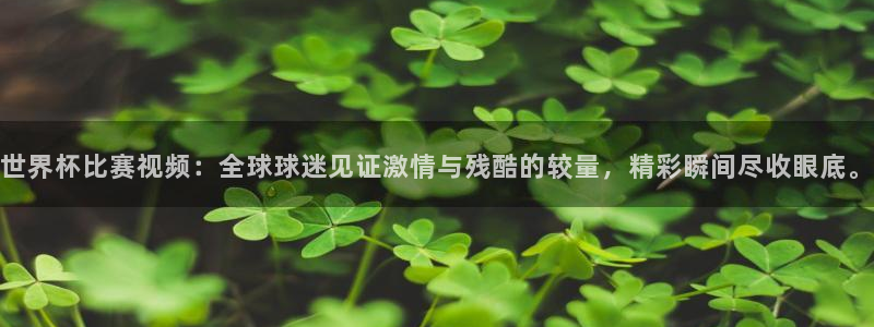 世界杯对阵表：世界杯比赛视频：全球球迷见证激情与残酷的较量，精彩瞬间尽收眼底。