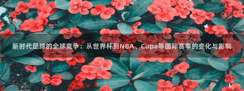 2026世界杯：新时代足球的全球竞争：从世界杯到NBA、Cupa等国际赛事的变化与影响