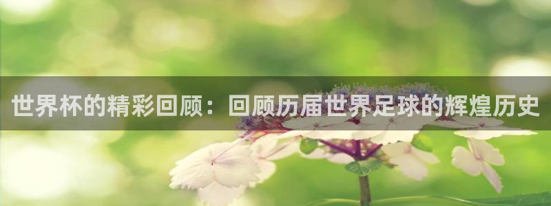 2026世界杯小组赛赛程时间表：世界杯的精彩回顾：回顾历届世界足球的辉煌历史