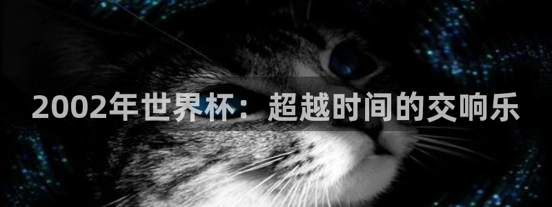 世界杯预选赛排名：2002年世界杯：超越时间的交响乐