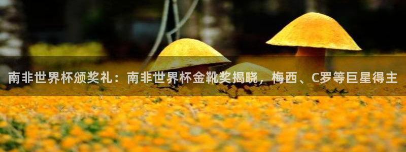 2026世界杯买球：南非世界杯颁奖礼：南非世界杯金靴奖揭晓，梅西、C罗等巨星得主