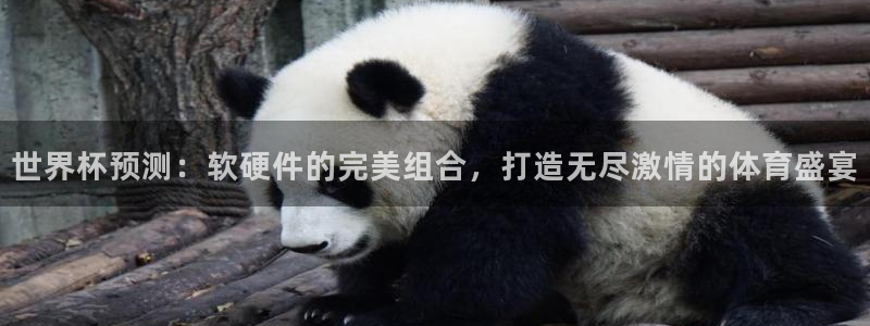 英足总杯直播：世界杯预测：软硬件的完美组合，打造无尽激情的体育盛宴