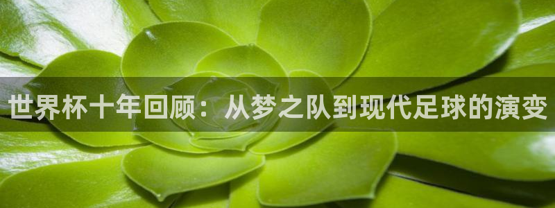 澳门世界杯直播：世界杯十年回顾：从梦之队到现代足球的演变