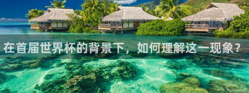 足球比分直播世界杯：在首届世界杯的背景下，如何理解这一现象？