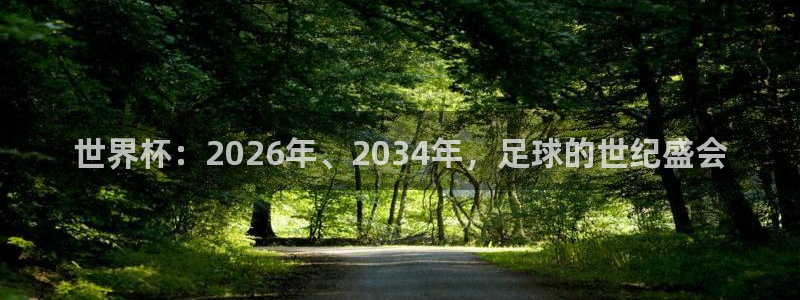 2026世界杯足球赛程时间表：世界杯：2026年、2034年，足球的世纪盛会