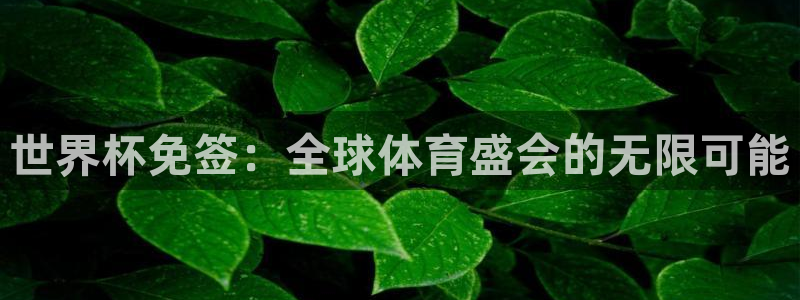2026年足球世界杯赛程时间表：世界杯免签：全球体育盛会的无限可能
