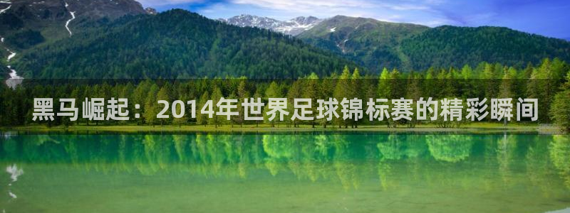 2026世界杯亚洲预选赛赛程：黑马崛起：2014年世界足球锦标赛的精彩瞬间