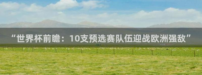 世界杯比赛赛程：“世界杯前瞻：10支预选赛队伍迎战欧洲强敌”